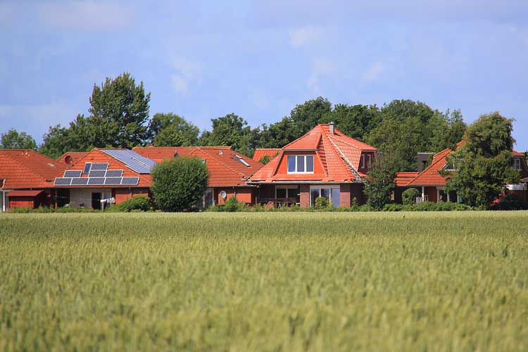 Blick über ein weites Feld auf die Ferienhaussiedlung