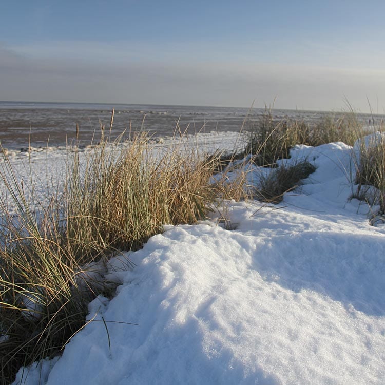 Nordsee Dünen im Schnee
