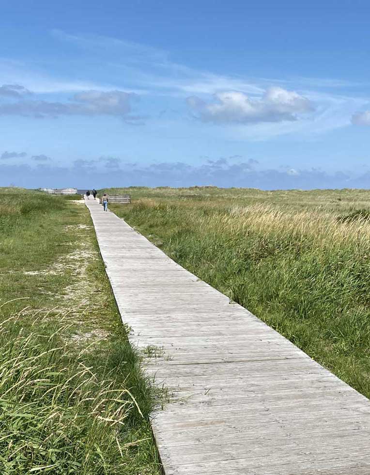 Holzsteg zum Strand von Schillig