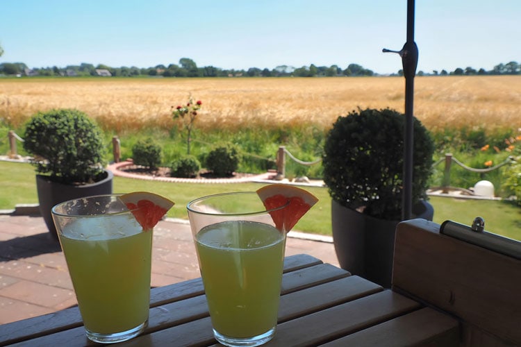 Blick von der Terrasse auf Garten und Feld. Auf dem Tisch stehen zwei Gläser mit Orangensaft