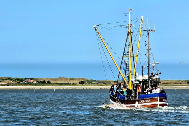 Kutterfahrt zu den Seehundbänken