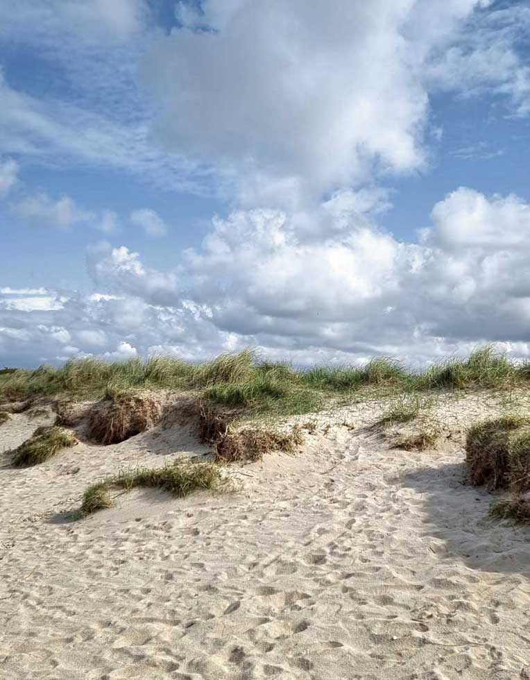 Dünen am Strand von Schillig