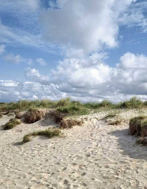 Der Nordseestrand von Schillig mit weiten Dünen